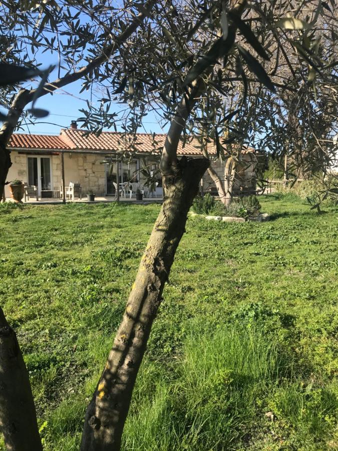 Mazet En Camargue Villa Arles Eksteriør billede